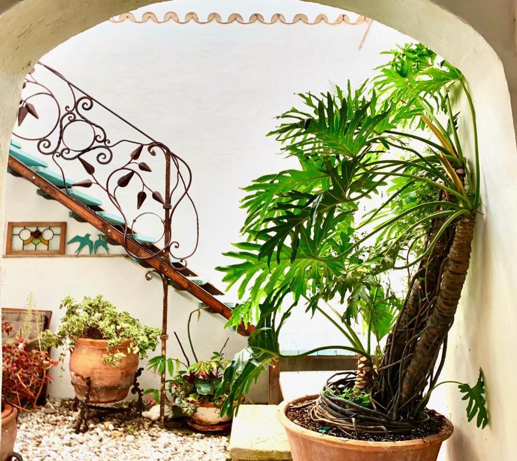 Villa Casa Del Teatro Luxury Casas Vejer Debra Vejer de la Frontera Esterno foto